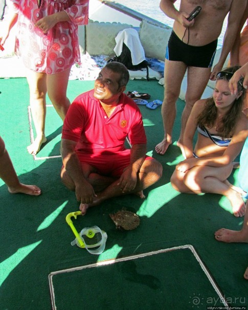 Стандартная морская прогулка вдоль полуострова Мусандам