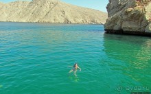 Стандартная морская прогулка вдоль полуострова Мусандам