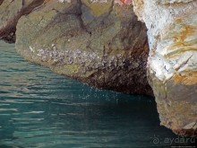 Стандартная морская прогулка вдоль полуострова Мусандам