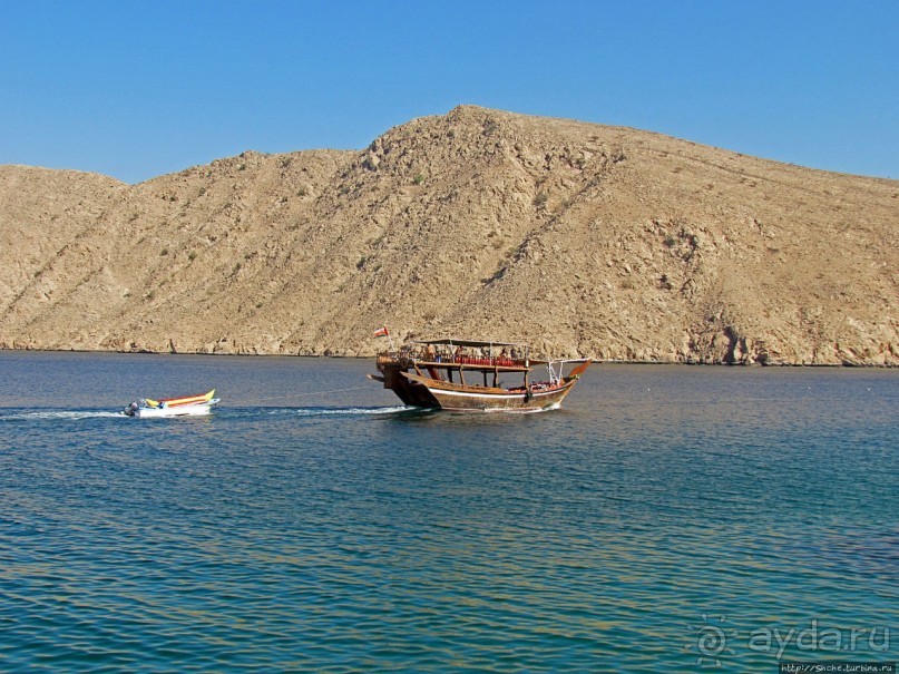 Стандартная морская прогулка вдоль полуострова Мусандам