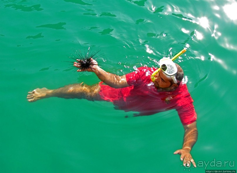 Стандартная морская прогулка вдоль полуострова Мусандам