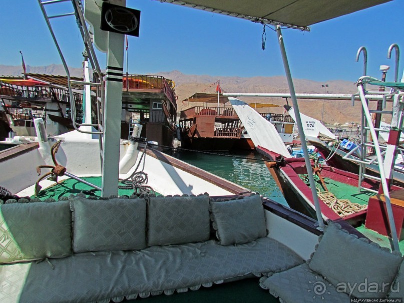 Стандартная морская прогулка вдоль полуострова Мусандам