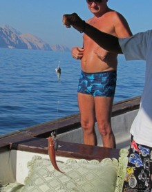 Стандартная морская прогулка вдоль полуострова Мусандам