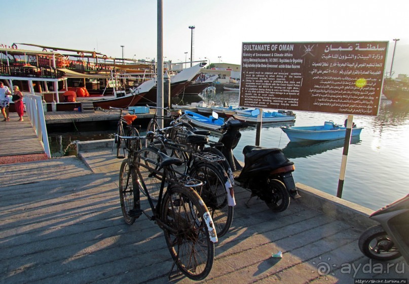 Стандартная морская прогулка вдоль полуострова Мусандам