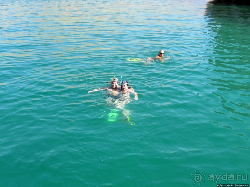 Стандартная морская прогулка вдоль полуострова Мусандам