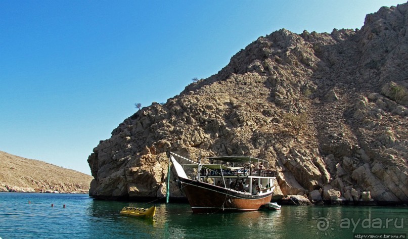 Стандартная морская прогулка вдоль полуострова Мусандам