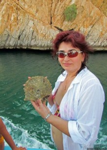 Стандартная морская прогулка вдоль полуострова Мусандам