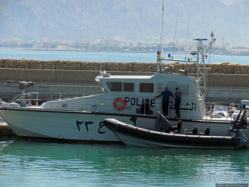 Стандартная морская прогулка вдоль полуострова Мусандам