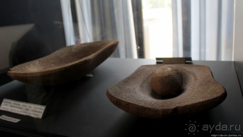 Национальный музей Чада и "тумай" — старейшая самка-гоминоид