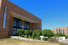 Национальный музей Чада и "тумай" — старейшая самка-гоминоид