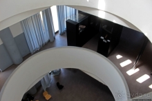 Национальный музей Чада и "тумай" — старейшая самка-гоминоид