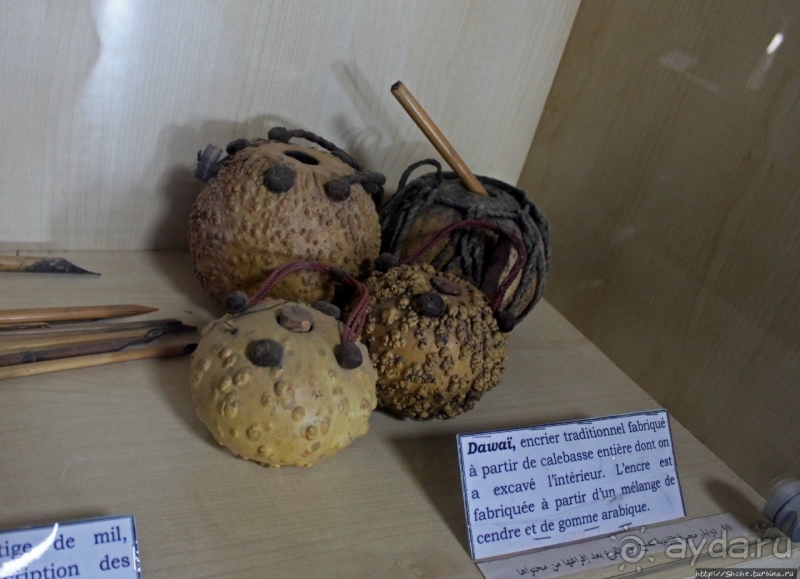 Национальный музей Чада и "тумай" — старейшая самка-гоминоид