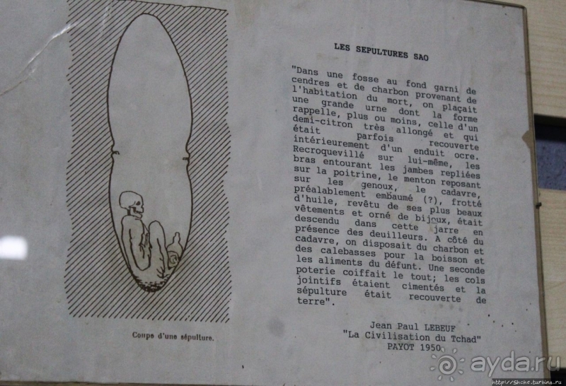 Национальный музей Чада и "тумай" — старейшая самка-гоминоид