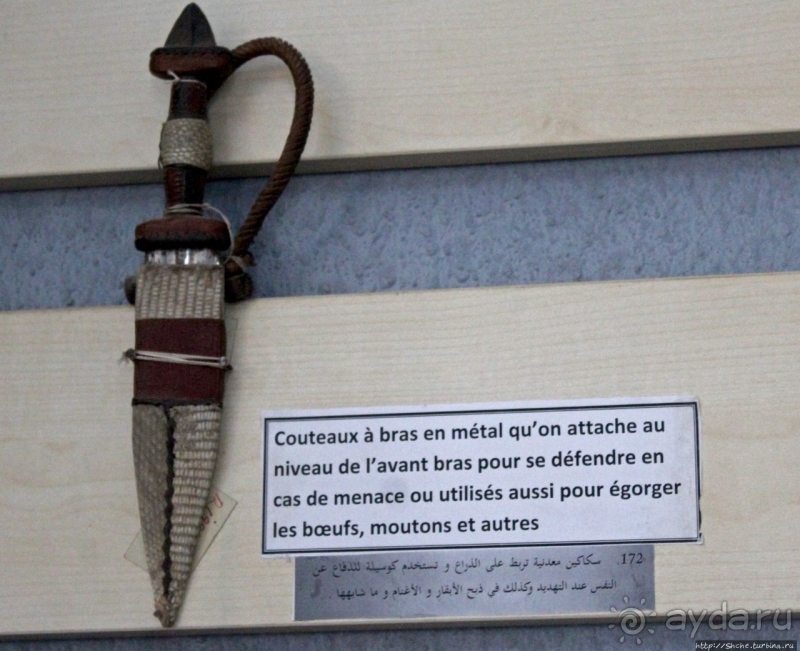 Национальный музей Чада и "тумай" — старейшая самка-гоминоид