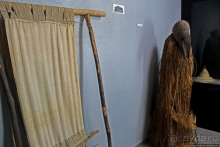 Национальный музей Чада и "тумай" — старейшая самка-гоминоид