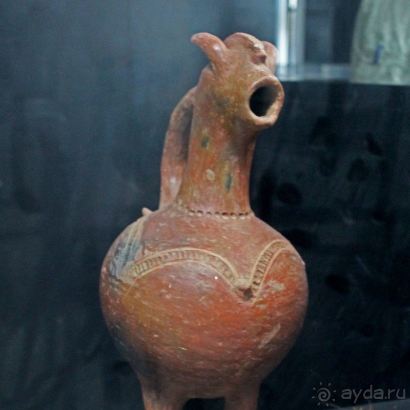 Национальный музей Чада и "тумай" — старейшая самка-гоминоид