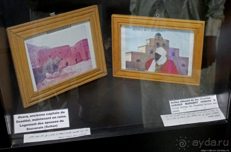 Национальный музей Чада и "тумай" — старейшая самка-гоминоид