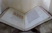 Национальный музей Чада и "тумай" — старейшая самка-гоминоид