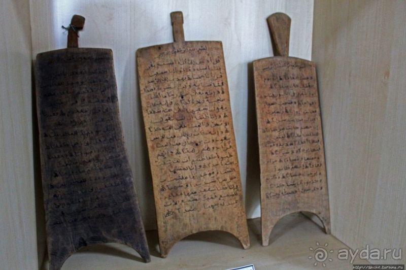 Национальный музей Чада и "тумай" — старейшая самка-гоминоид