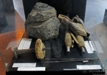 Национальный музей Чада и "тумай" — старейшая самка-гоминоид