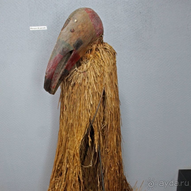 Национальный музей Чада и "тумай" — старейшая самка-гоминоид