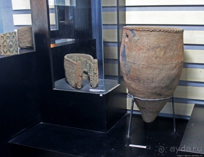 Национальный музей Чада и "тумай" — старейшая самка-гоминоид