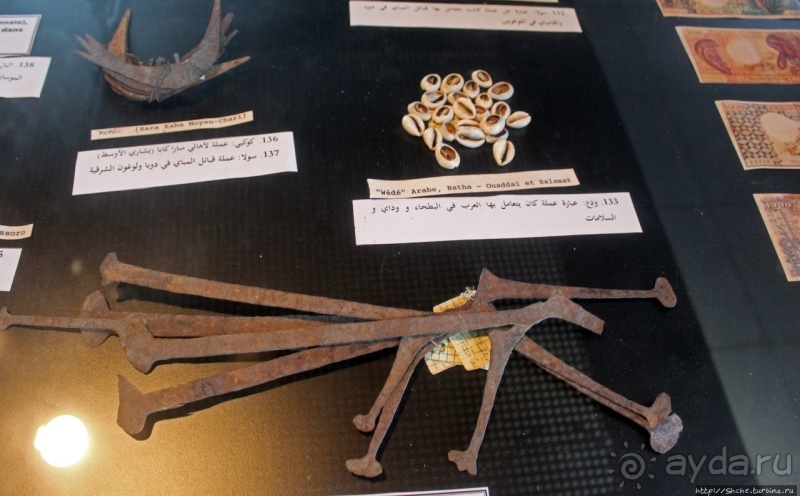 Национальный музей Чада и "тумай" — старейшая самка-гоминоид