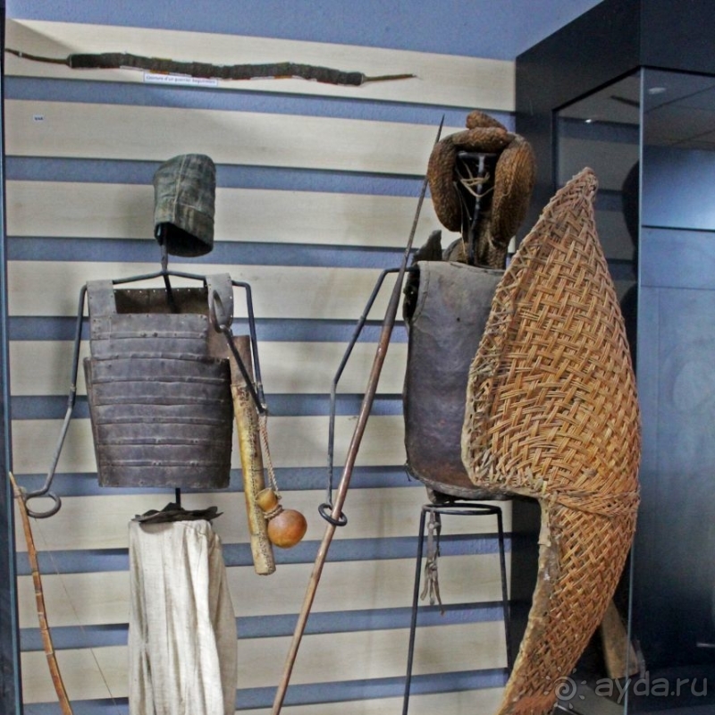 Национальный музей Чада и "тумай" — старейшая самка-гоминоид