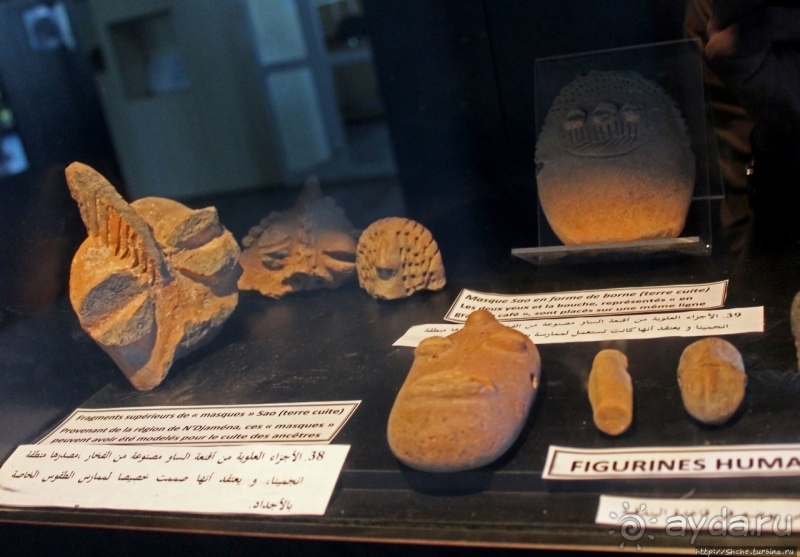 Национальный музей Чада и "тумай" — старейшая самка-гоминоид