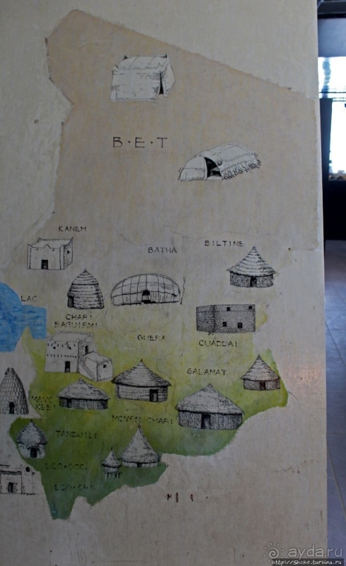 Национальный музей Чада и "тумай" — старейшая самка-гоминоид