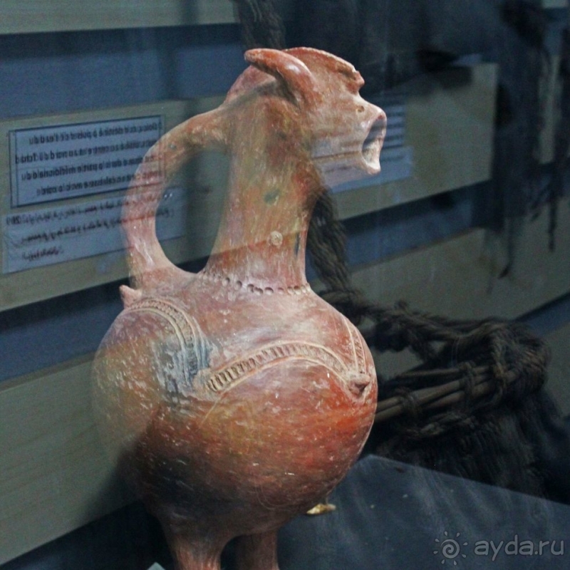 Национальный музей Чада и "тумай" — старейшая самка-гоминоид