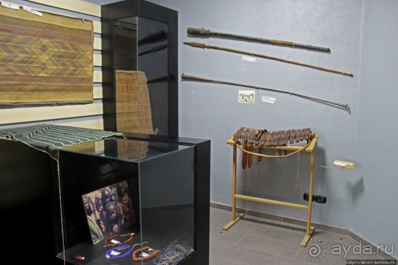 Национальный музей Чада и "тумай" — старейшая самка-гоминоид