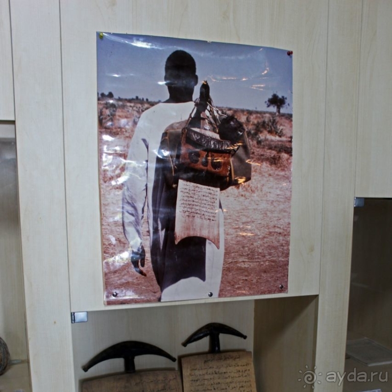 Национальный музей Чада и "тумай" — старейшая самка-гоминоид