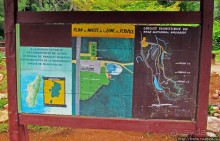 Пешие сафари по дождевому лесу. Лемуры и другие обитатели