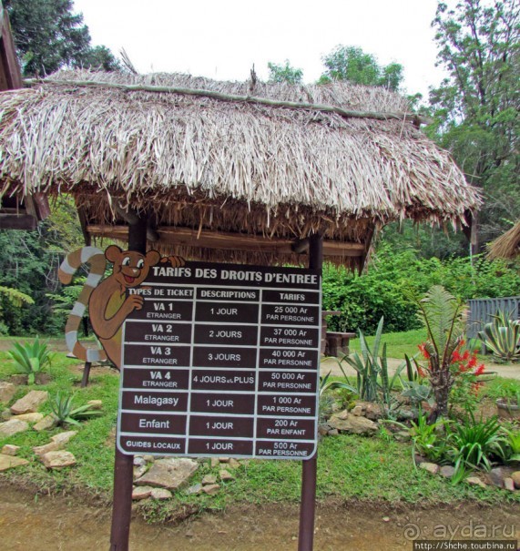 Пешие сафари по дождевому лесу. Лемуры и другие обитатели