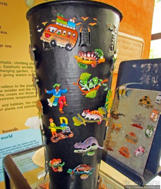 Пешие сафари по дождевому лесу. Лемуры и другие обитатели