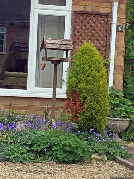 Английская глубинка... Хорспас из Окфордшира