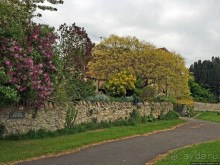 Английская глубинка... Хорспас из Окфордшира