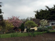 Английская глубинка... Хорспас из Окфордшира