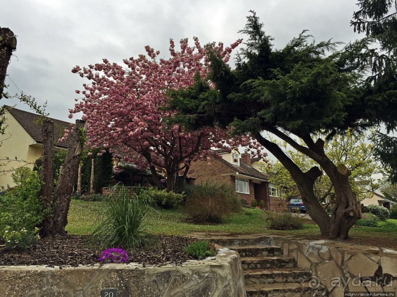 Английская глубинка... Хорспас из Окфордшира