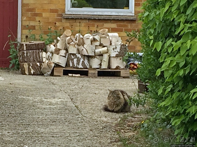 Английская глубинка... Хорспас из Окфордшира