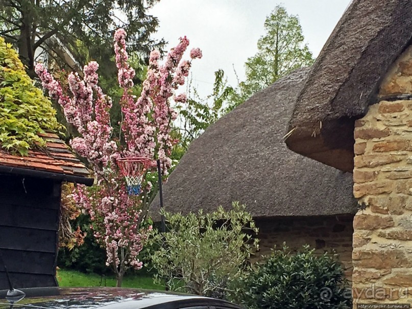 Английская глубинка... Хорспас из Окфордшира