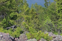 Дьявольская гора — однозначно лучшие панорамы Аландов