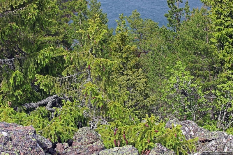 Дьявольская гора — однозначно лучшие панорамы Аландов