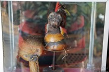 "Дом экватора" — триумвират физики, фольклора и культуры