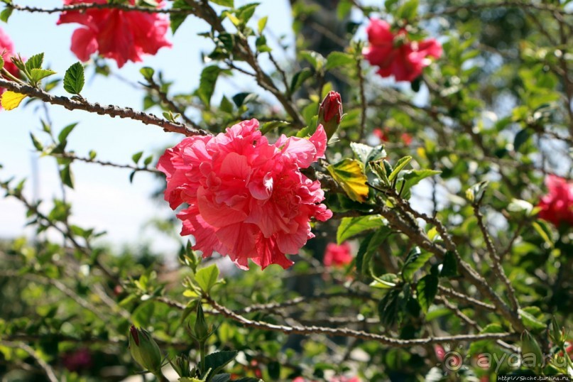 "Дом экватора" — триумвират физики, фольклора и культуры