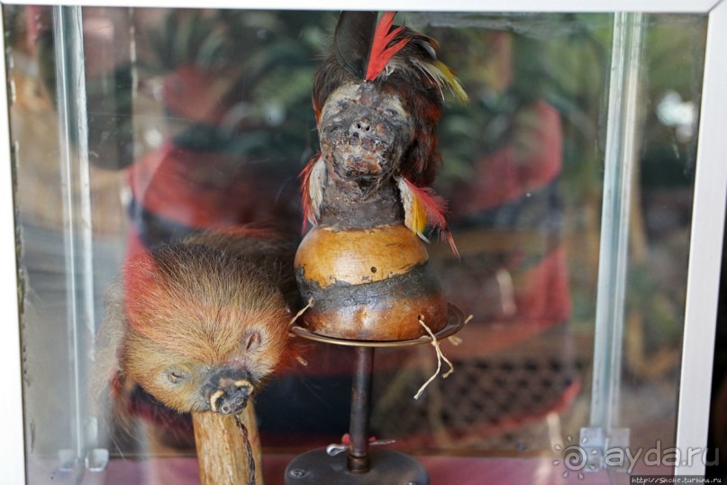 "Дом экватора" — триумвират физики, фольклора и культуры