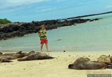 Галапагосы. Остров Санта Фе. Этап 2 — колония морских львов