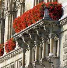 Вена-красивый город. Часть 2- детали, подчеркивающие красоту