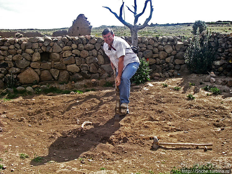 Альбом отзыва "Хозяйский двор местных жителей в горах Перу"